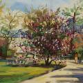 2001 magniolia jardin des  plantes