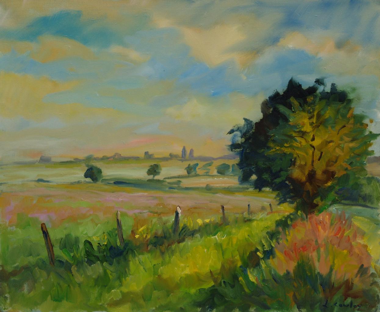 2001 paysage boos